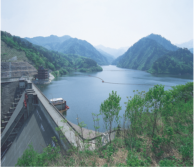 アクティビティ